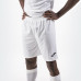Шорты Joma NOBEL 100053.200